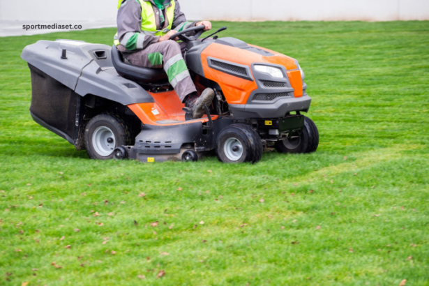 Saving Time and Money: The Surprising Benefits of Hiring a Lawn Care Service