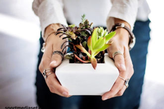 Step-by-Step Guide: How to Build a DIY Aeroponics Garden