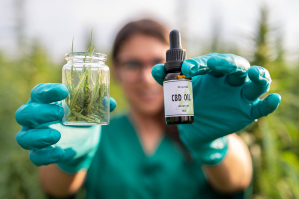 CBD Oil