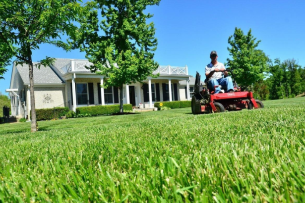 6 Reasons Why You Need a Professional Lawn Dethatching Service