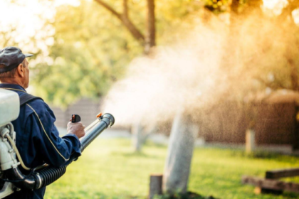 Debunking Myths about Fogging Mosquitoes: Separating Fact from Fiction