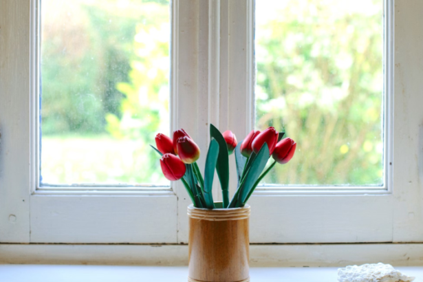 Why DIY Window Replacement Can Be a Costly Mistake