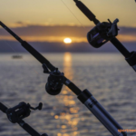 Experience Nature at Its Best: Why You Should Try Overnight Fishing Trips