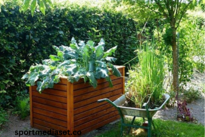 How to Create a Vertical Vegetable Garden in Your Apartment