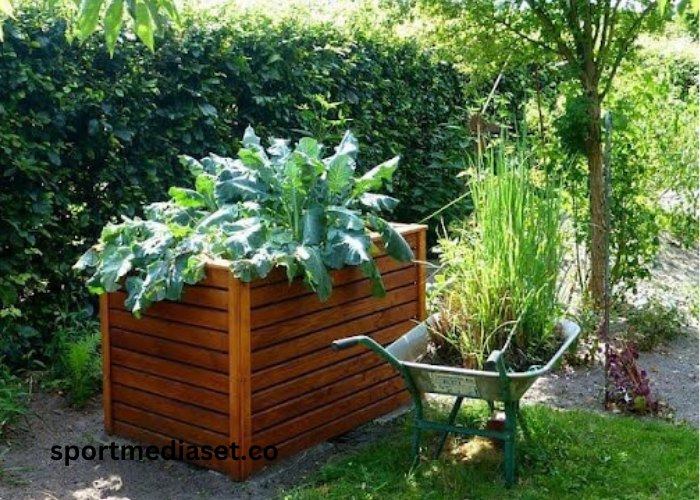 How to Create a Vertical Vegetable Garden in Your Apartment