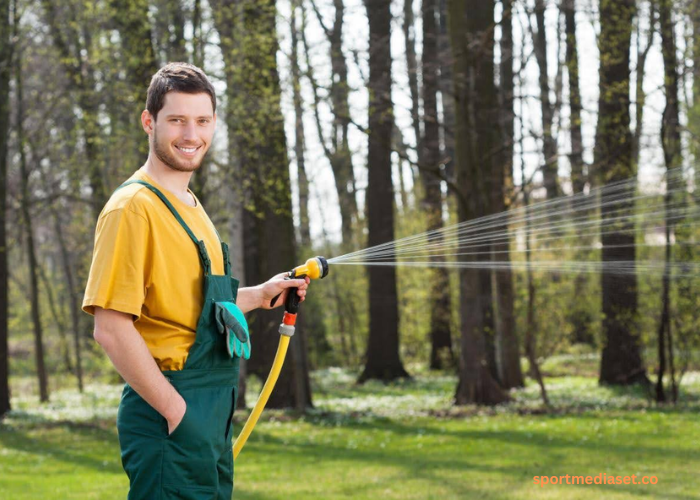 The Importance of Expert Lawn Care for Maintaining a Beautiful Yard