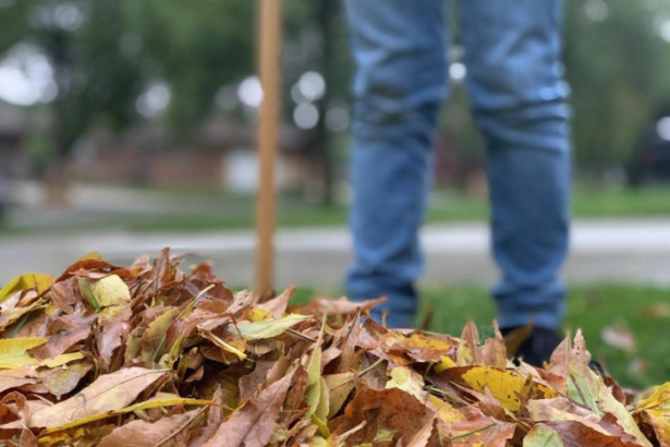 The Importance of Leaf Cleanup for Residential Yard Maintenance