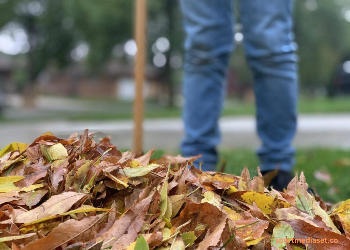 The Importance of Leaf Cleanup for Residential Yard Maintenance