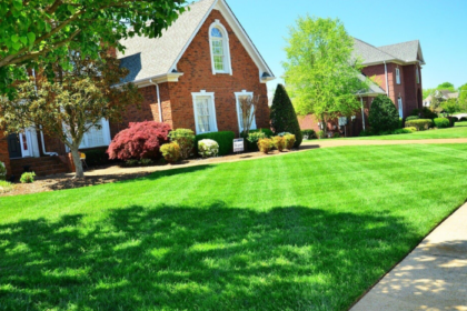 The Top Benefits of Using Liquid Lawn Fertilizer for a Greener Yard