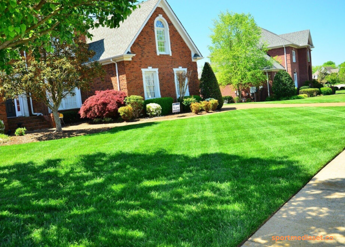 The Top Benefits of Using Liquid Lawn Fertilizer for a Greener Yard