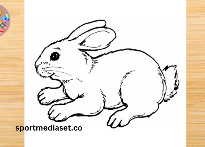 Drawing3byvh5-Pf8m= Rabbit