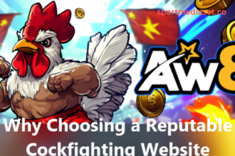 Why Choosing a Reputable Cockfighting Website Ensures a Secure Gaming Experience