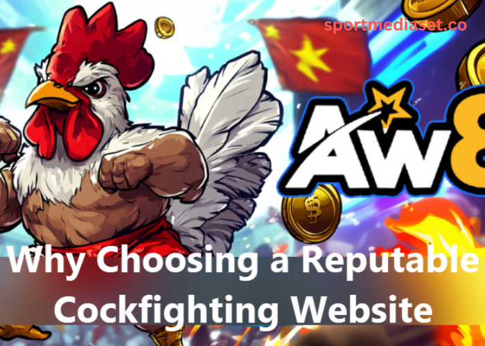 Why Choosing a Reputable Cockfighting Website Ensures a Secure Gaming Experience