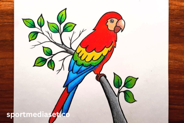 drawing2b15i9mtuj4= Parrot