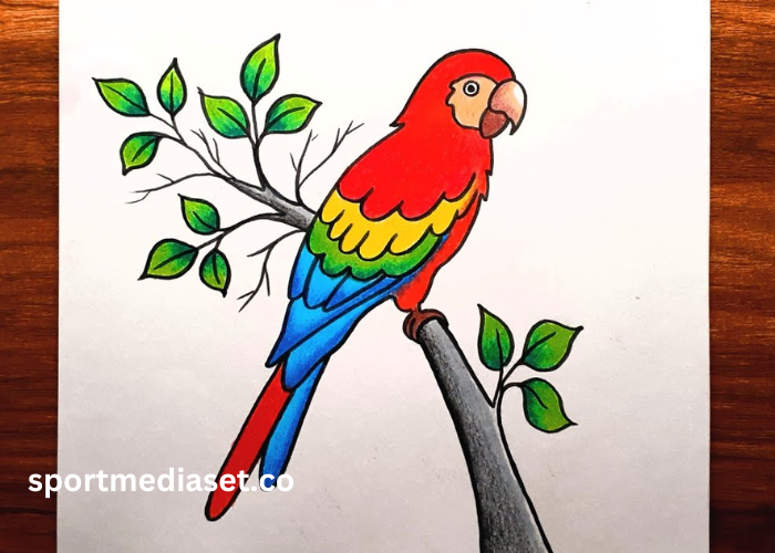 drawing2b15i9mtuj4= Parrot