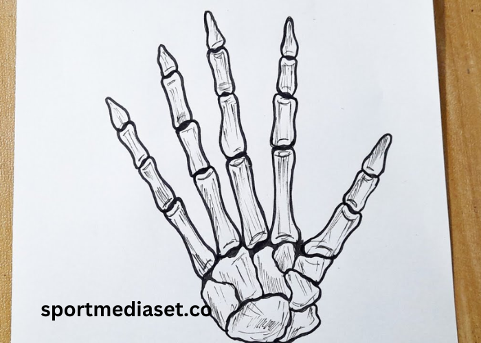 drawing2qrpfsct_yq= Skeleton Hand