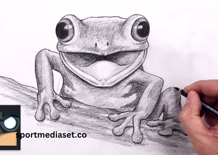 drawing8g23phxnp8a= frog