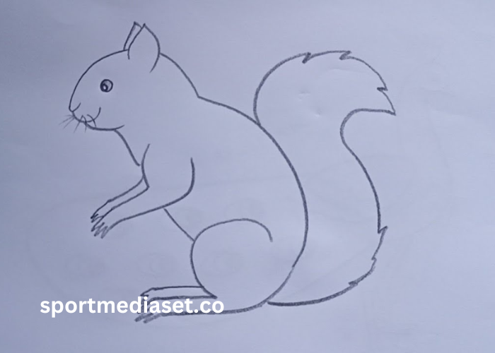 drawing_Szjnepomtg= Squirrel