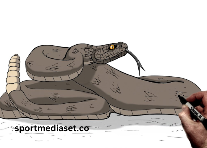 Drawing-Rfehmml6q0= Rattlesnake