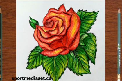 drawing9-0iwfu7wp8= Rose Flower