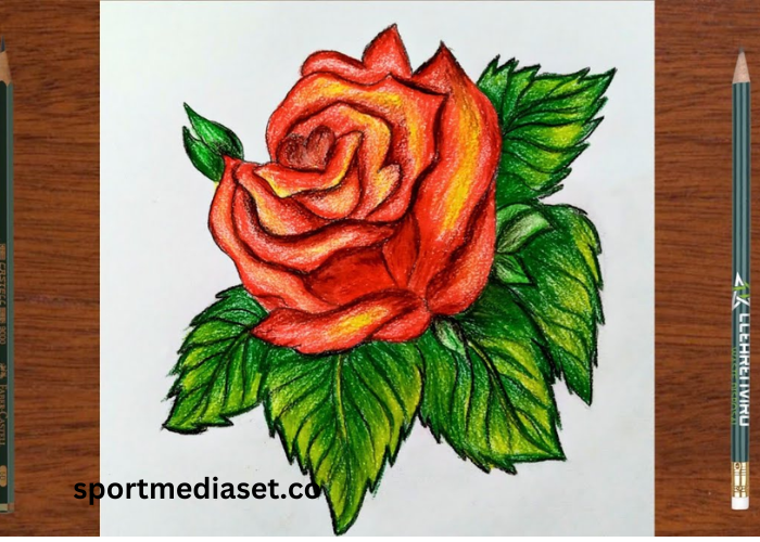 drawing9-0iwfu7wp8= Rose Flower