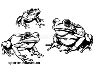 drawing_Zjn_sozhtu= Frog