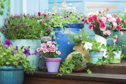 Discovering the Best Plants to Put in Pots for Your Home