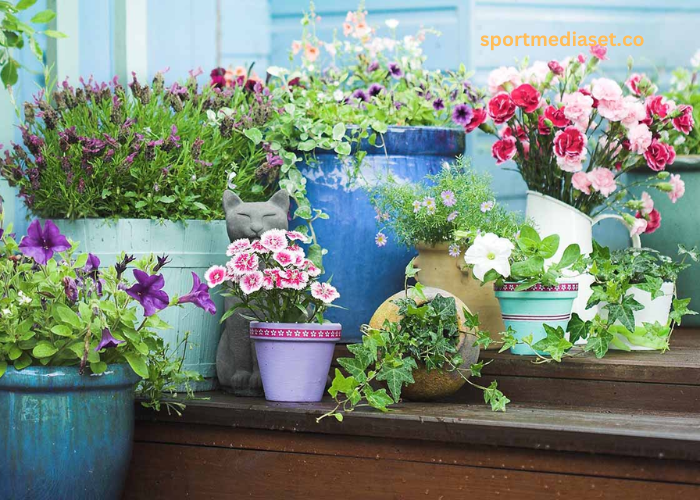 Discovering the Best Plants to Put in Pots for Your Home