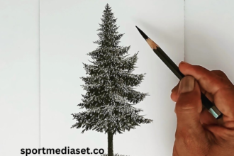 drawing9sn1eqhlw6e= Pine Tree