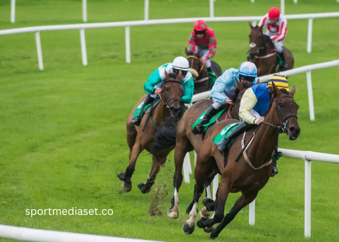 The Ultimate Guide to Horse Turf Racing