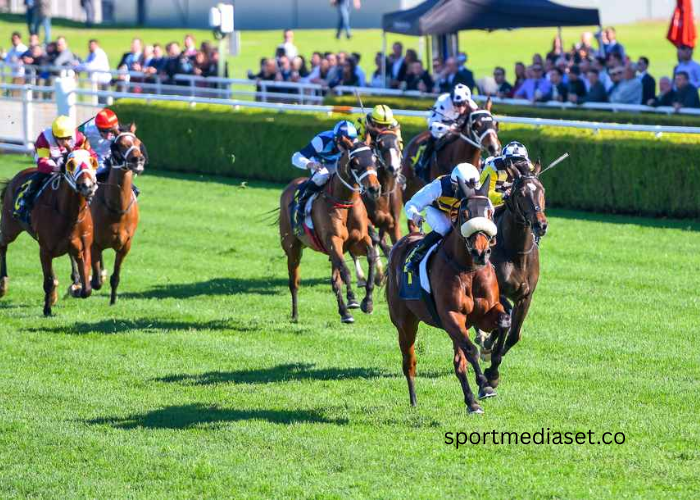 The Beauty and Challenge of Racing on Turf