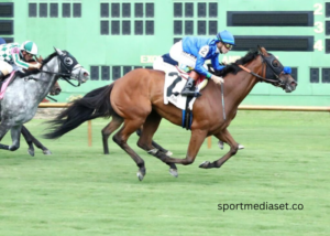 What Professional Equestrians Are Saying About Modern Turf