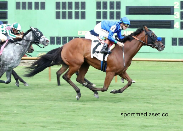 What Professional Equestrians Are Saying About Modern Turf