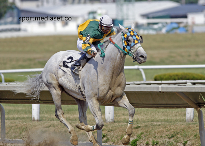 The Psychology of a Turf Horse