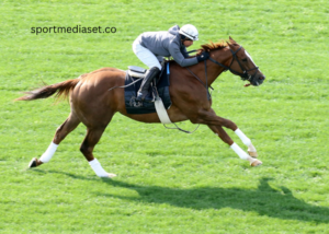 How Turf Racing Evolved in North America