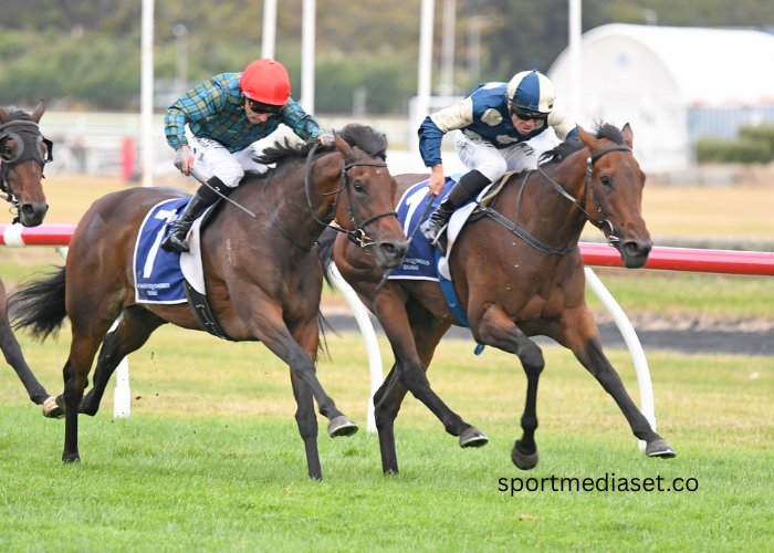 Why Turf Racing is Dominating the European Market